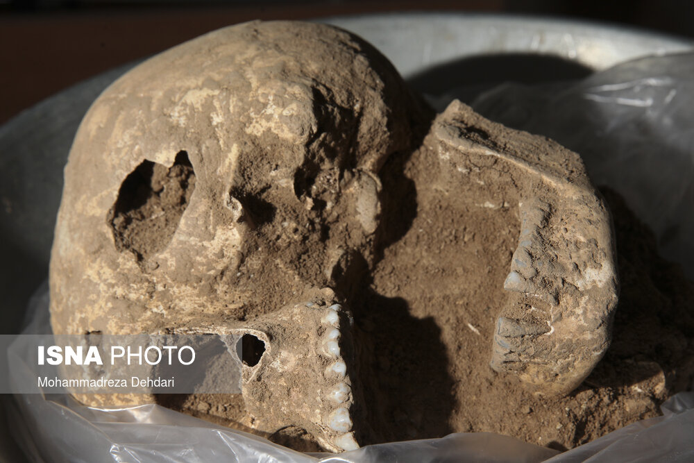 کشف اولین اسکلتها در تخت جمشید کشف اولین اسکلتها در تخت جمشید