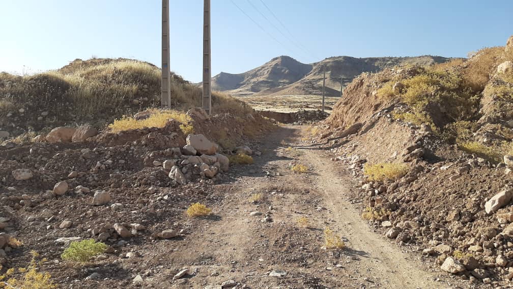 وعده‌های توخالی بنیاد مستضعفان به روستائیان هلیلان / ماجرای احداث باغ زیتون در روستای سرچم هلیلان چیست؟
