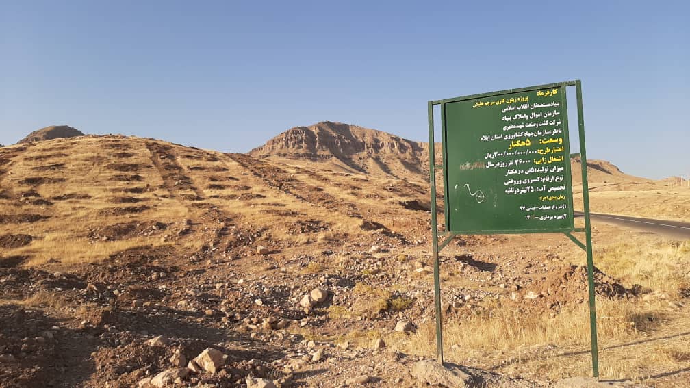 وعده‌های توخالی بنیاد مستضعفان به روستائیان هلیلان / ماجرای احداث باغ زیتون در روستای سرچم هلیلان چیست؟