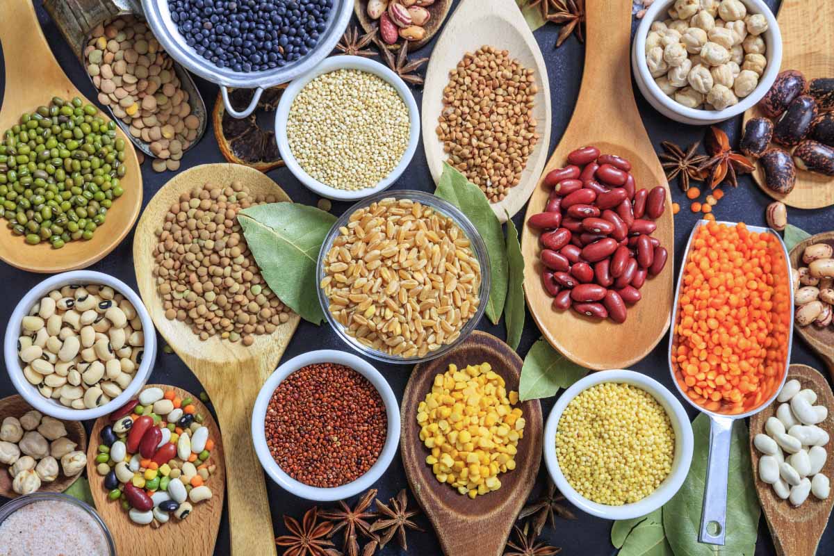 تناسب اندام و رژیم غذایی تناسب اندام و رژیم غذایی