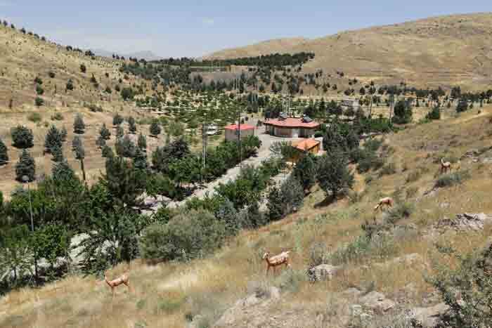 بوستان جنگلی سرخه‌حصار