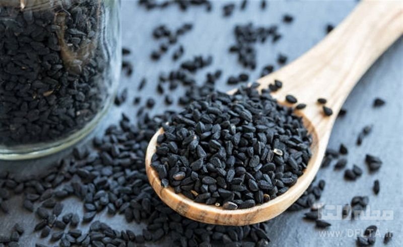 اخبار سلامت اخبار سلامت