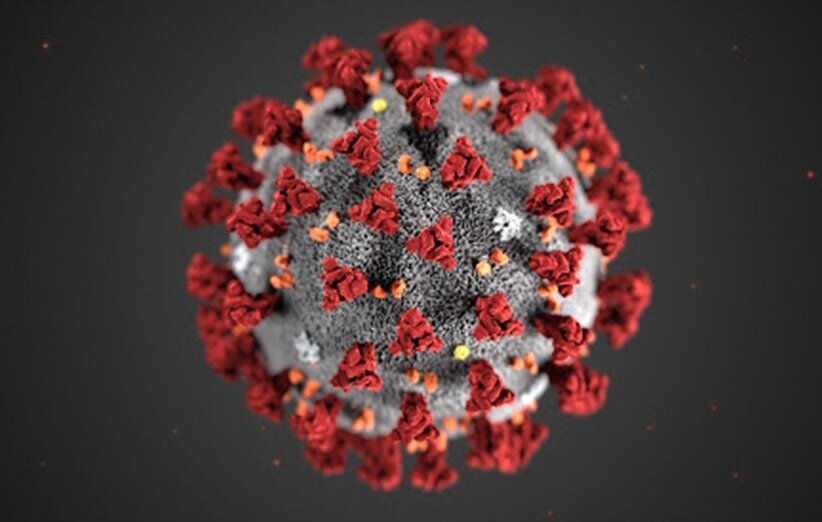 ویروس کرونا