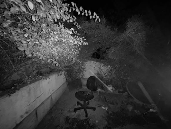 ریحانه پارسا