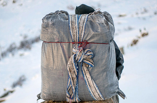 کشتن کولبران