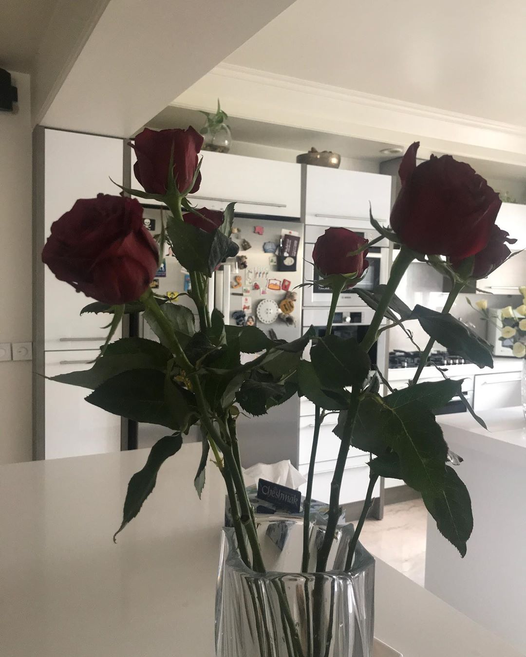 تهمینه میلانی و تولد 60 سالگیش + عکس