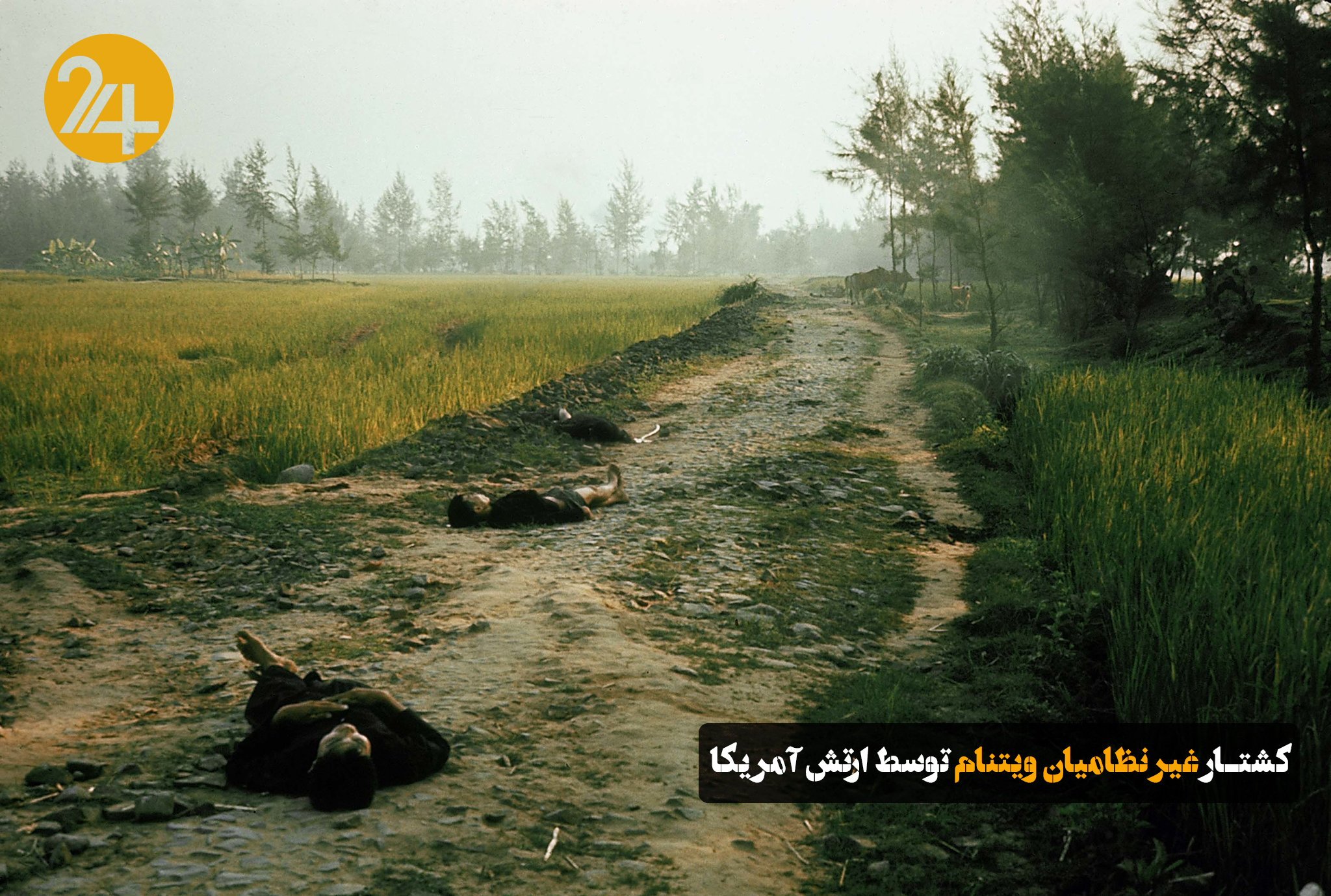 کشتار می لای ویتنام کشتار می لای ویتنام