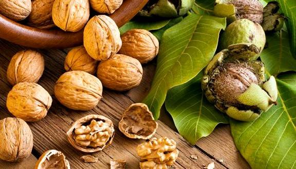 روش صحیح خشک کردن گردو تازه در منزل