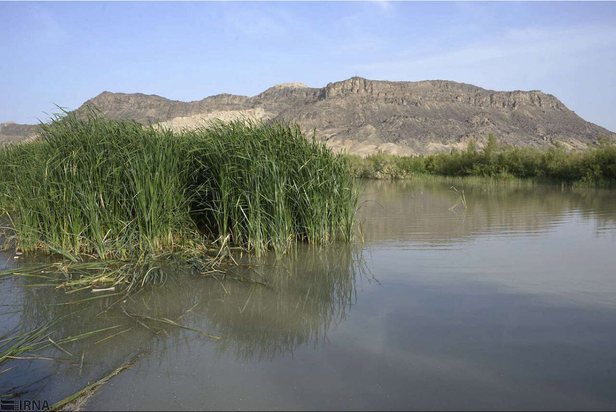 تالاب هامون احیا می‌شود/ ایجاد بیش از ۲ هزار شغل پایدار برای مردم محلی