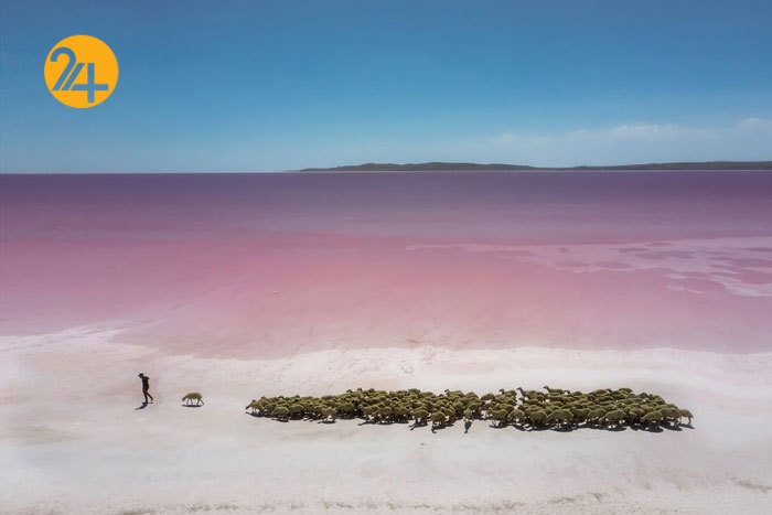 عجیب‌ترین عکاسی مستند