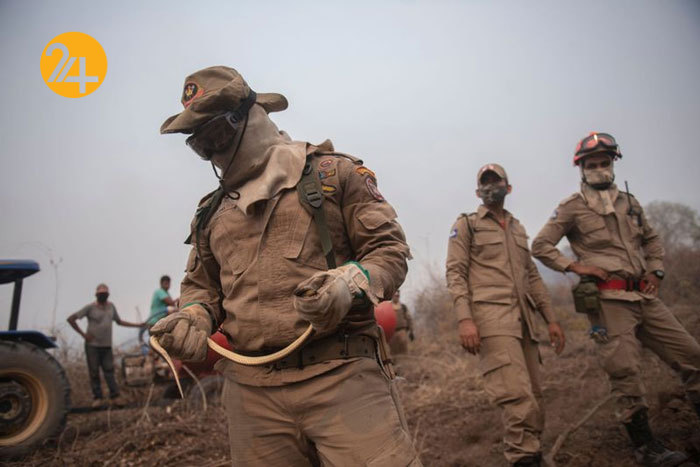 نجات حیوانات تالاب پانتانال از آتش‌سوزی