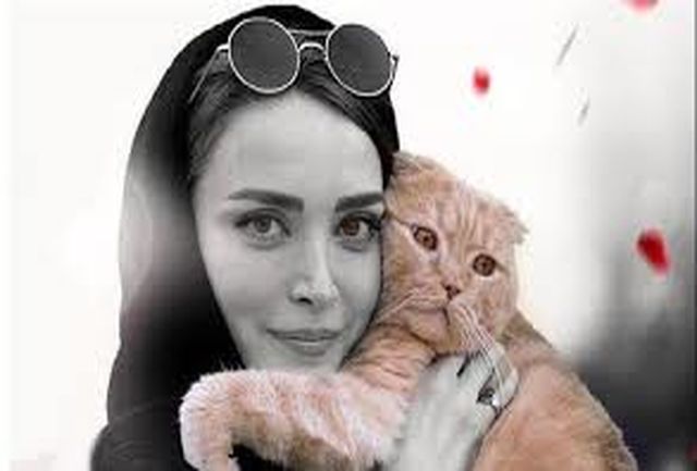 بهنوش طباطبایی بهنوش طباطبایی