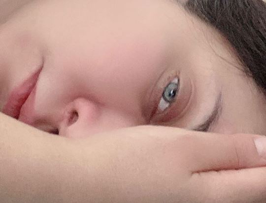 فقیه سلطانی