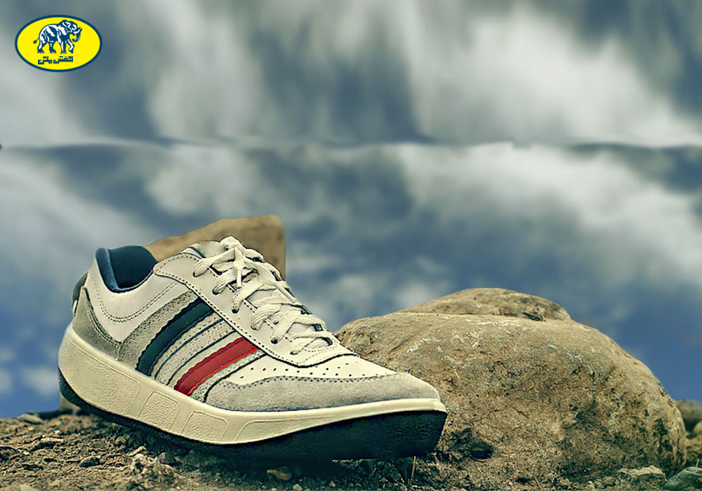 نقش کفش در خوابهای شما! کفش ملی