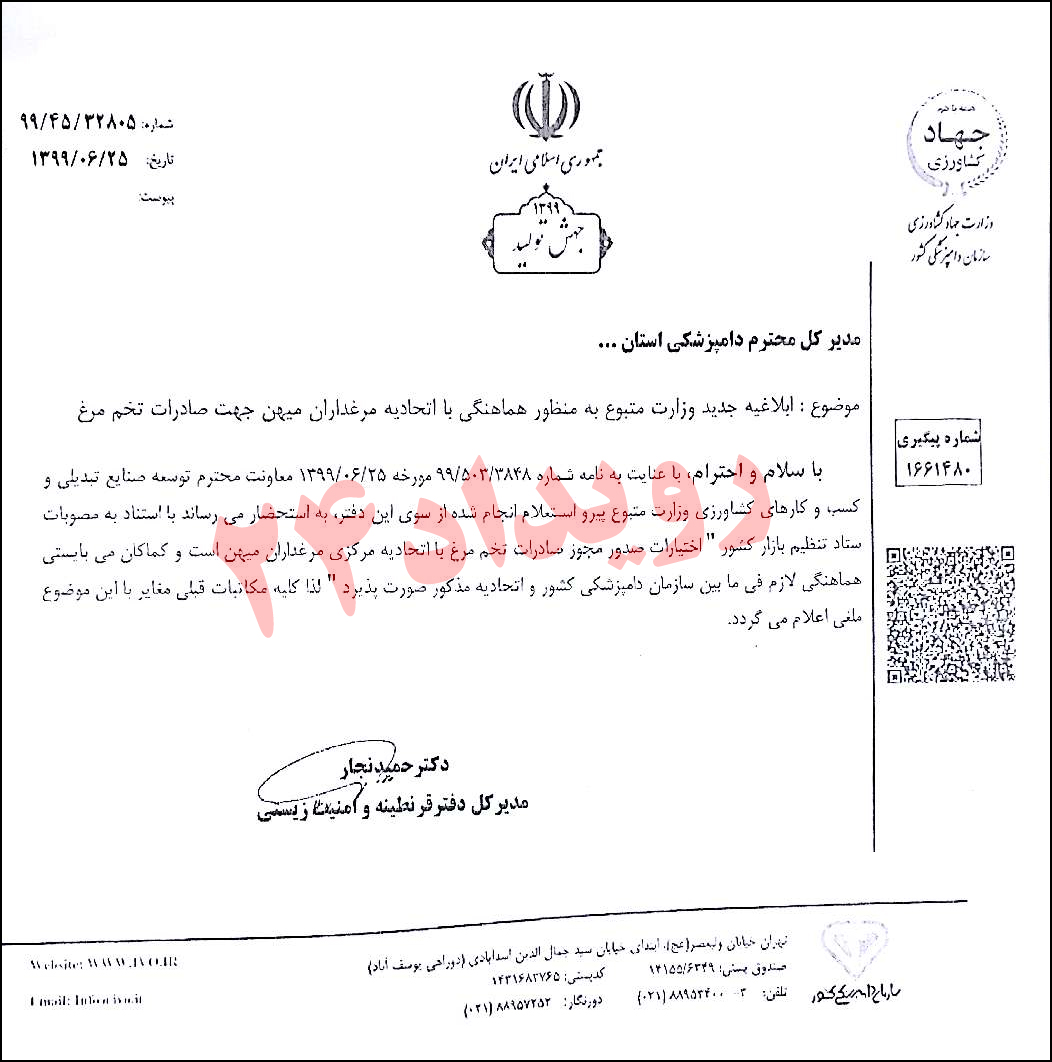 صادرات تخم مرغ صادرات تخم مرغ