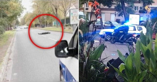 قتل در فرانسه