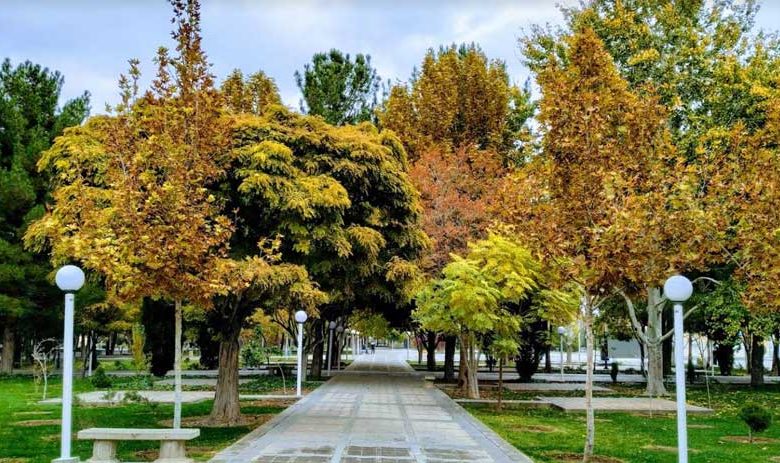 شهرداری تهران