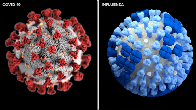 چگونه کرونا و آنفلوانزا را از هم تشخیص دهیم؟