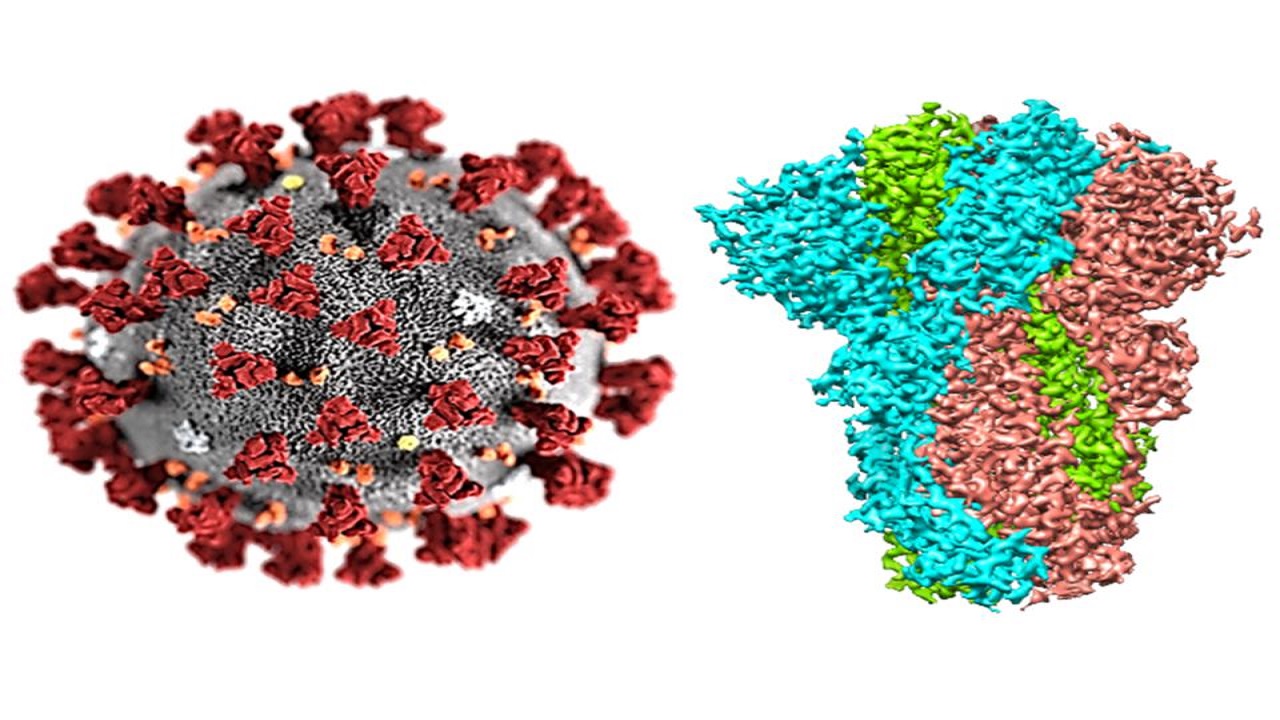 راهکارهای برای درمان کرونا