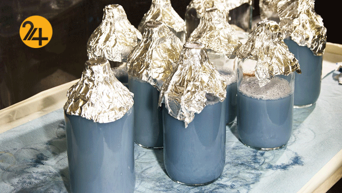 جانوری با خون آبی