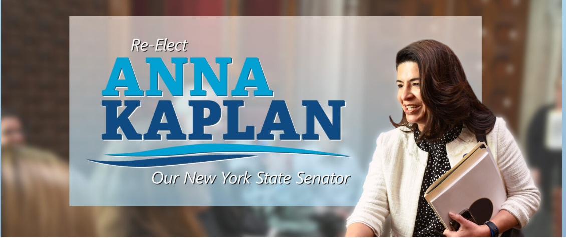 حضور چشمگیر زنان ایرانی در انتخابات آمریکا/