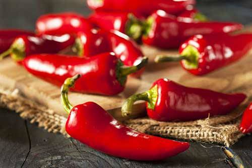 مصرف فلفل تند 