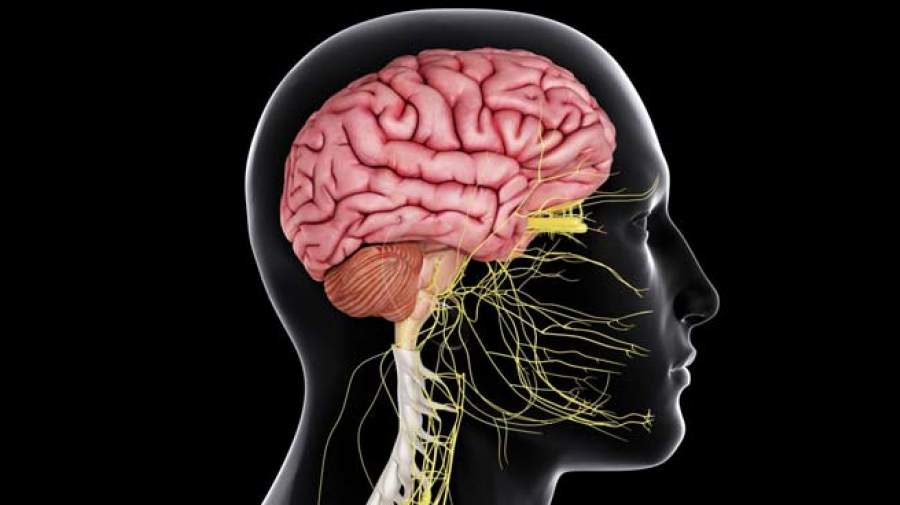 اخبار سلامت