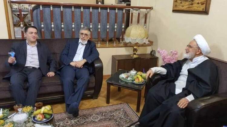 دیدار با کروبی 