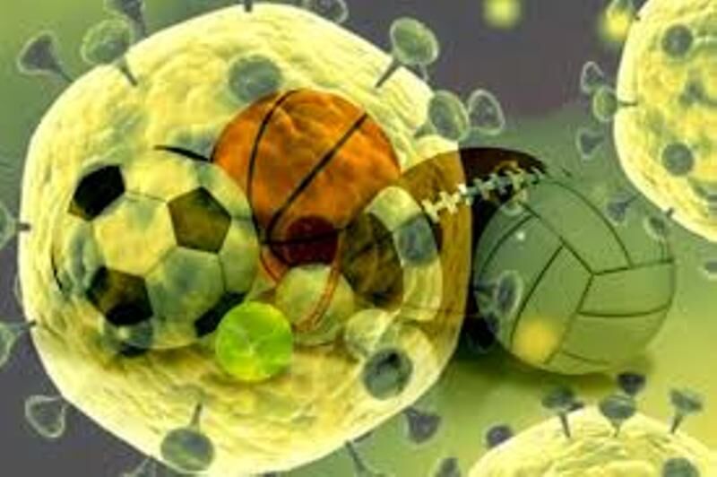 ویروس کرونا