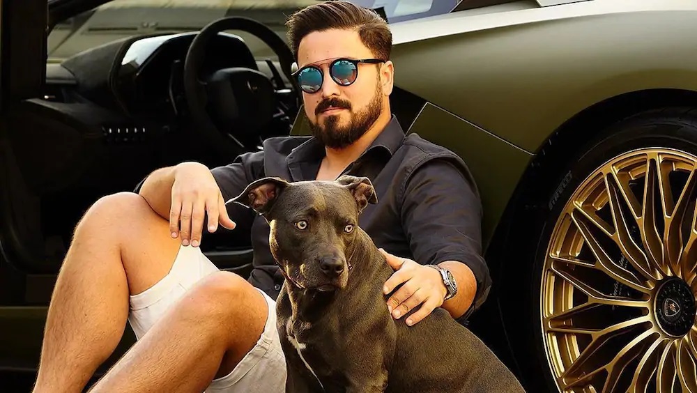 تصادف نوید آلفا