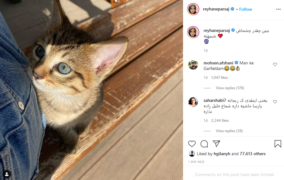 رابطه جدید ریحانه پارسا و محسن افشانی خبرساز شد+عکس