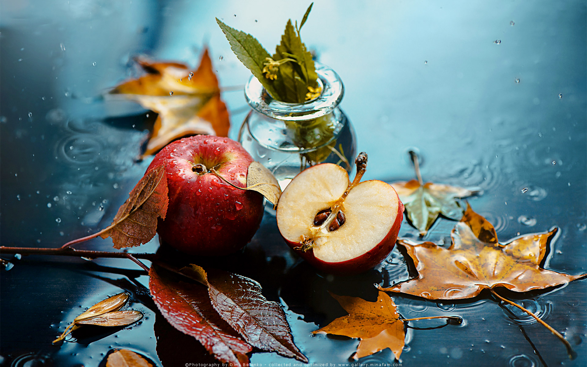 خواص میوه ها خواص میوه ها