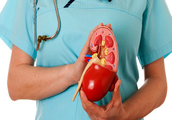 بیماری‌های کلیوی