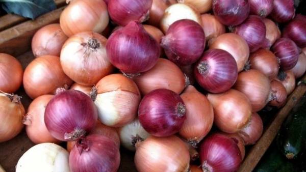 خواص پیاز