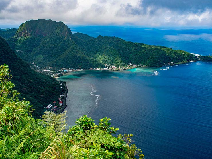 ویروس کرونا