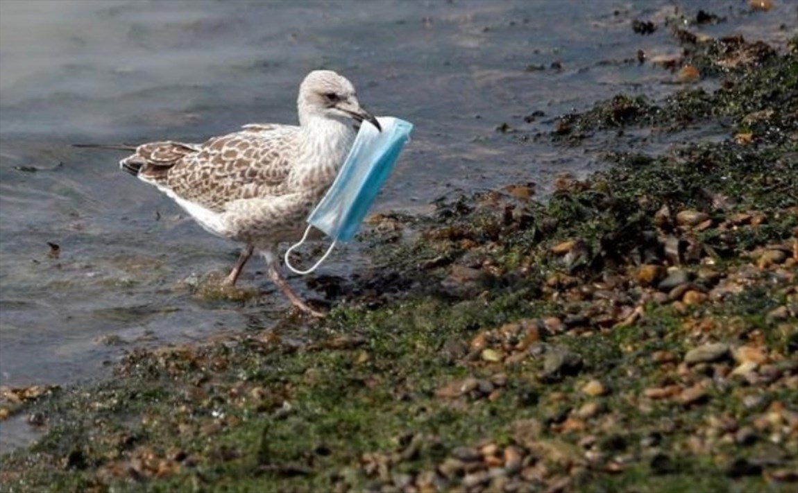 ماسک خود را چگونه دور بیندازیم؟ ماسک خود را چگونه دور بیندازیم؟