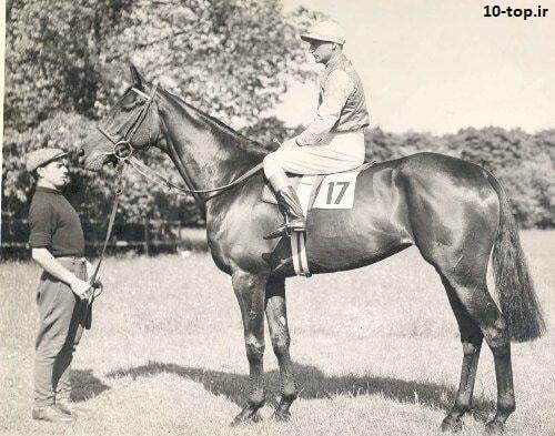 اخبار حوادث اخبار حوادث