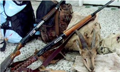 دستگیر باند کشتار حیات وحش در بندر خمیر