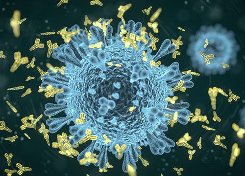 راه های پیشگیری از ویروس کرونا