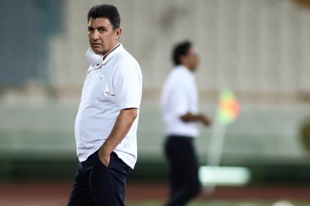 امیر قلعه‌نویی