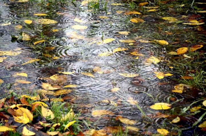 اخبار هواشناسی