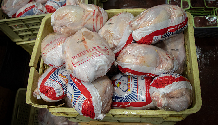 واردات مرغ برای تنظیم بازار