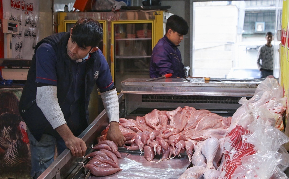 فروش مرغ تکه شده ممنوع شد