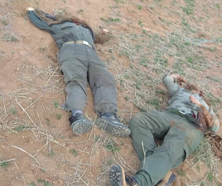 کشته شدن ۲ محیط بان در زنجان