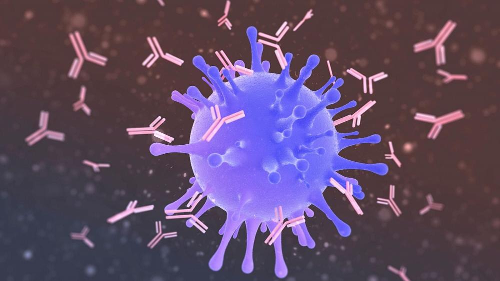 کرونا در بدن چه افرادی جهش میکند؟ کرونا در بدن چه افرادی جهش میکند؟