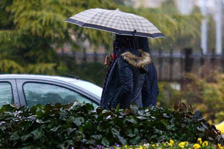 بارش باران و وزش باد عصرگاهی در تهران بارش باران و وزش باد عصرگاهی در تهران