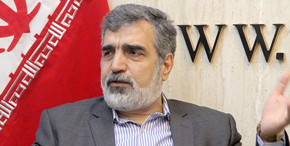 سخنگوی سازمان انرژی اتمی سخنگوی سازمان انرژی اتمی