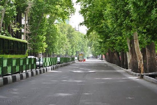 اصلاحات آیین نامه حفظ و گسترش باغات تصویب شد