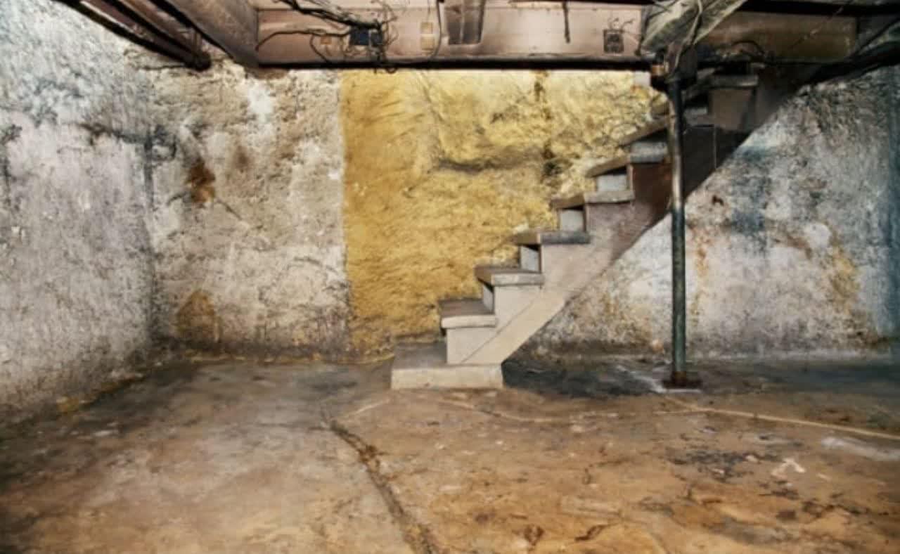 تجربه باورنکردنی کسانی که زندگی با مردگان را برگزیده‌اند +تصاویر