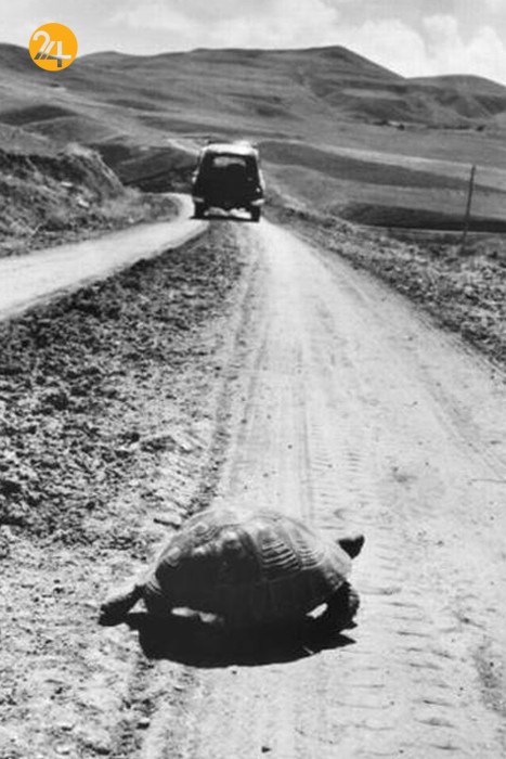 حوادث پنج قاره جهان به روایت عکاس _ خبرنگار فرانسوی